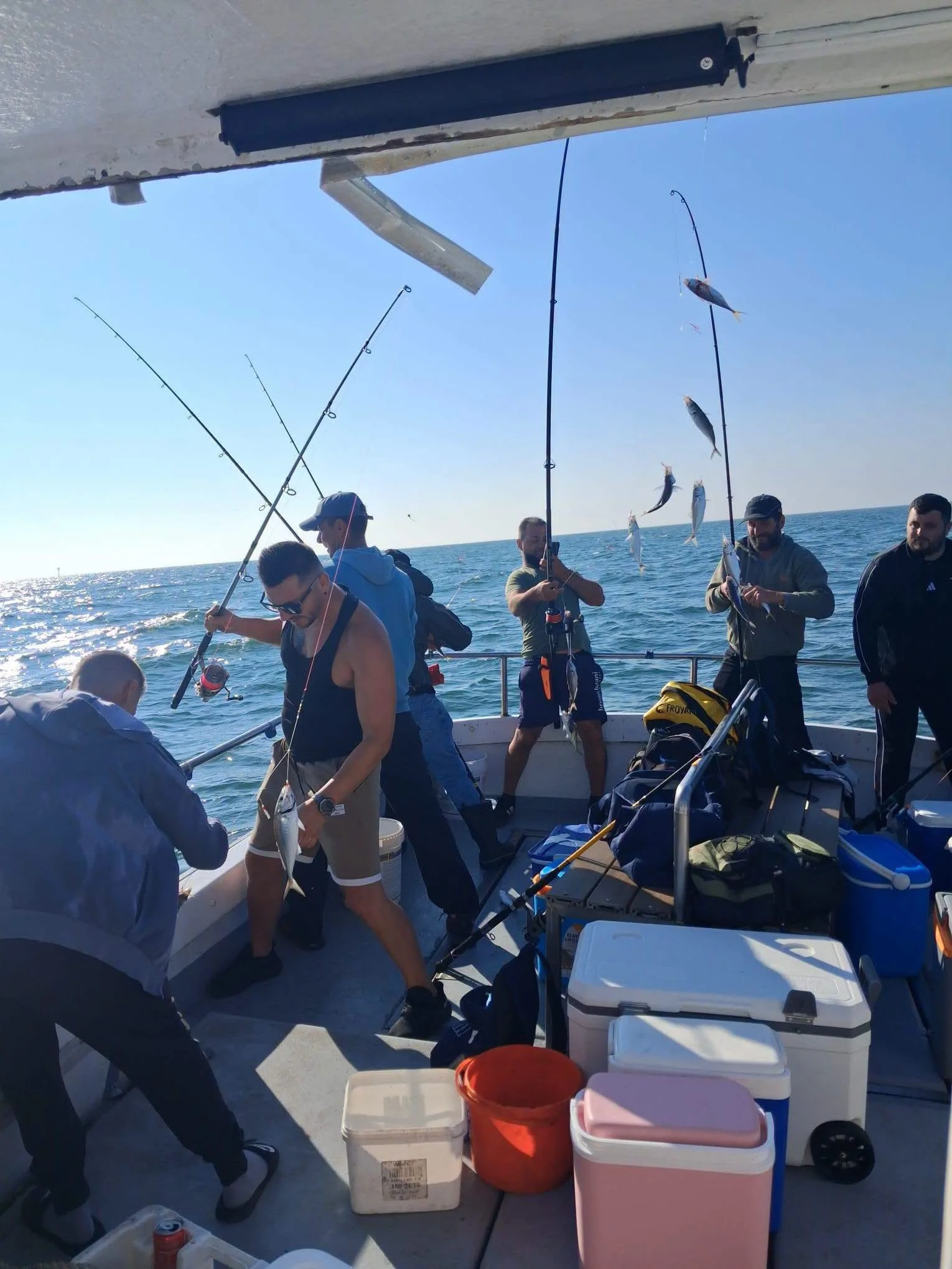 Vissers met gevangen makreel aan boord op zee